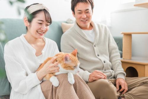 猫を撫でる夫婦