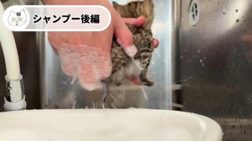 泡が飛び散って