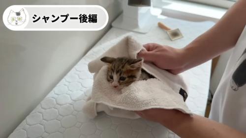 タオルに包まれて