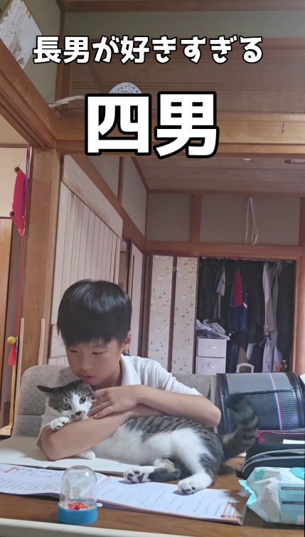 宿題をしている男の子と猫