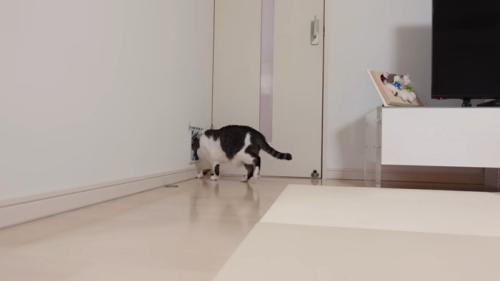 逃げるささみくん