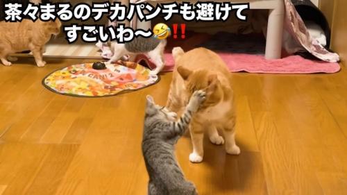 顔面にパンチ
