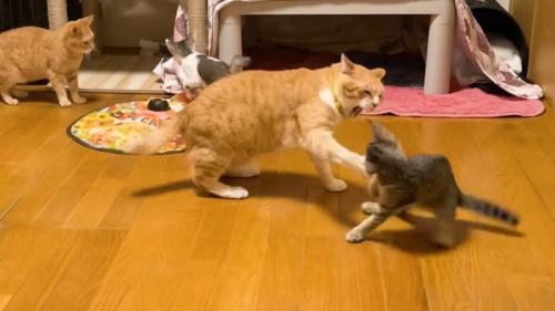 園長のパンチ