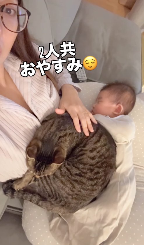 赤ちゃんを乗せた飼い主の膝の上で丸くなる猫(横)