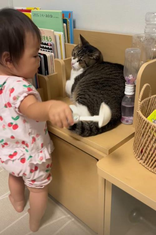 猫とおもちゃを持つ赤ちゃんと