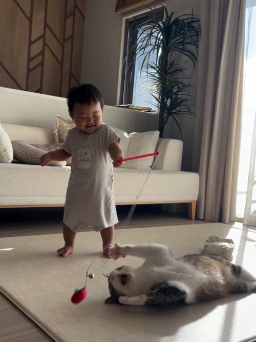 猫じゃらしを持つ赤ちゃんと遊ぶ猫