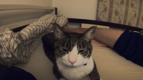 眠そうな表情