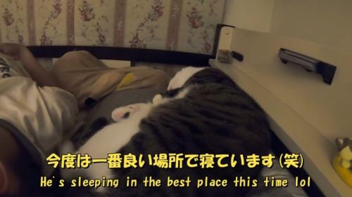 一番良い場所で