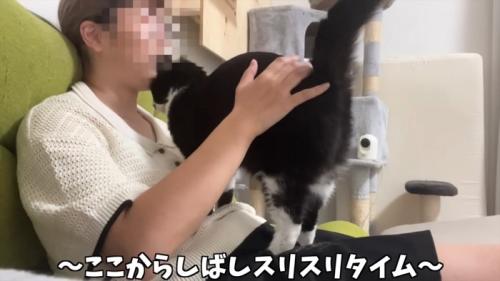 スリスリするくろまめちゃん