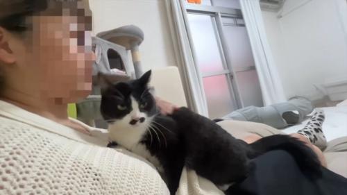 膝に乗るくろまめちゃん