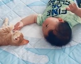 赤ちゃんと子猫の胸から上