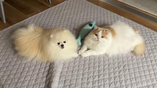 見上げるふたり