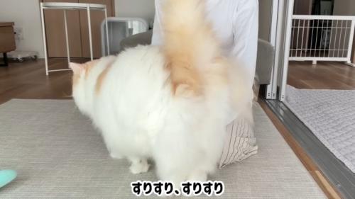 すりすり、すりすり