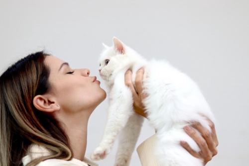 女性からキスされそうな白猫