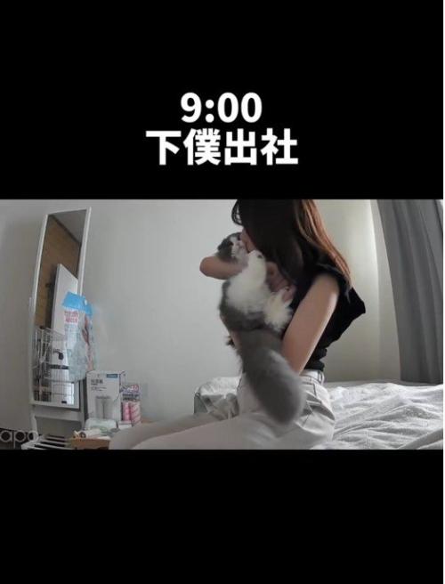 猫にキスをしている人