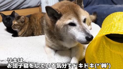 ドキドキ