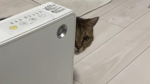 ヒーターの陰から