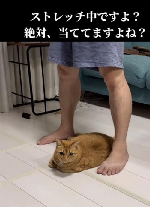 「ストレッチ中ですよ？...」のテロップ写真