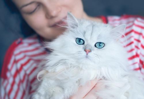 ペルシア猫を抱く女性