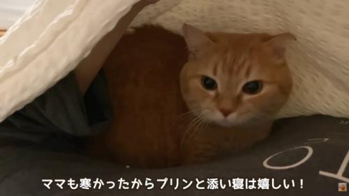 テロップ「ママも寒かったから～」