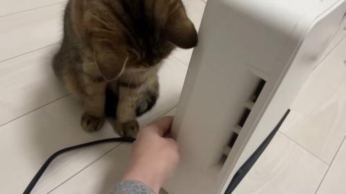 裏のスイッチ