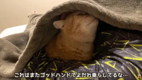 テロップ「これはまた～」