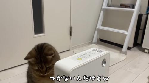 つかない