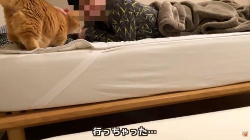 テロップ「行っちゃった…」