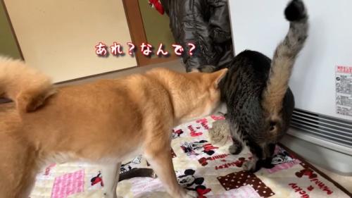 あれ？なんで？