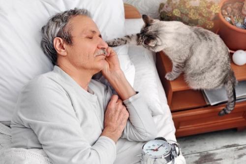 ヒゲ男性を起こす猫