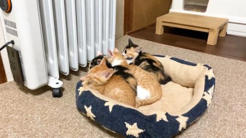 寝顔を斜めから