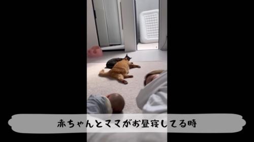 テロップ「赤ちゃんとママが～」