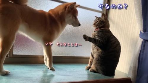 やるのか？