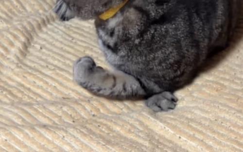 ガッツポーズ