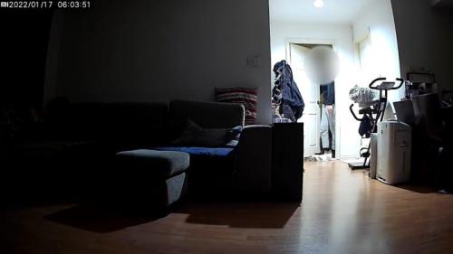 出てきた飼い主さん