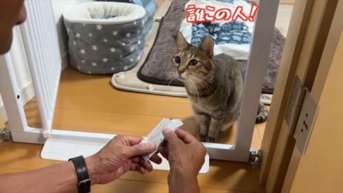 誰この人!