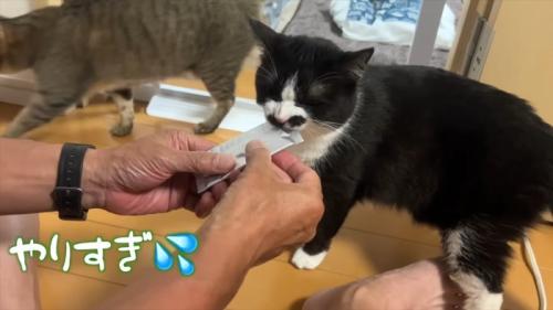 やりすぎ