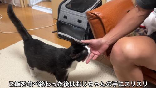 手にスリスリ