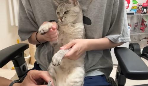 猫の様子