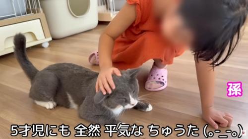 テロップ「5歳児にも~」