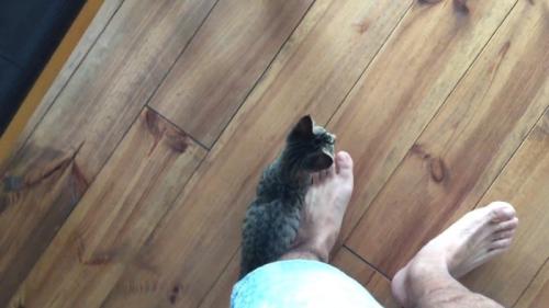 足にぴったり