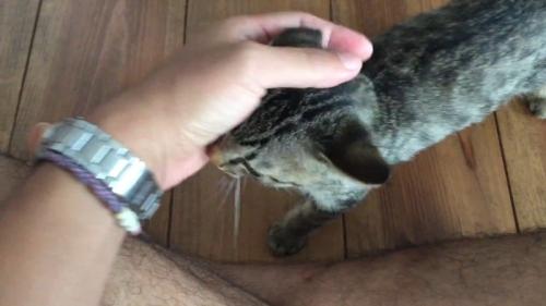 お顔を撫でて
