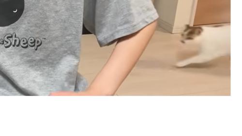 猫の様子
