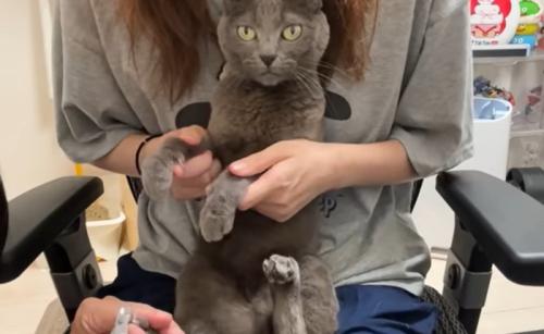 猫の様子