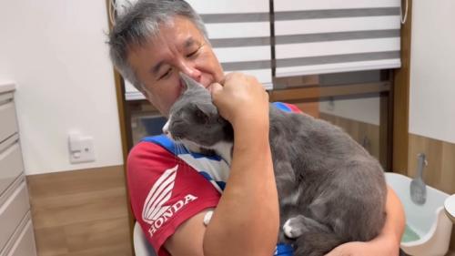 男性に抱っこされる猫ちゃん