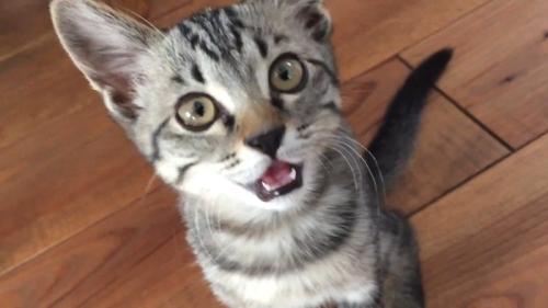 お顔のアップ