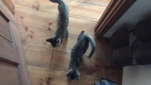 出てきたふたり