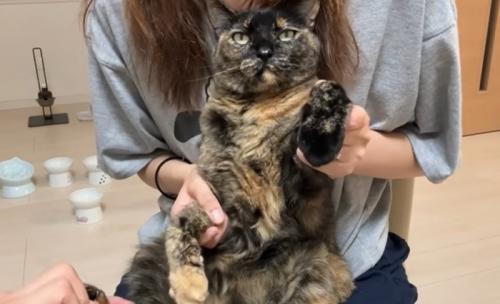 猫の様子