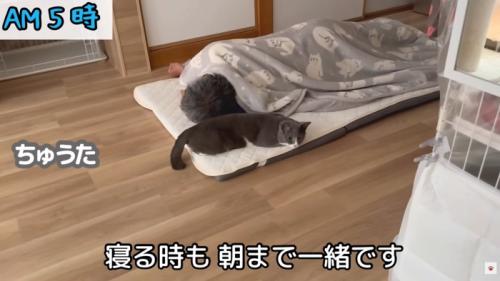 テロップ「寝るときも~」