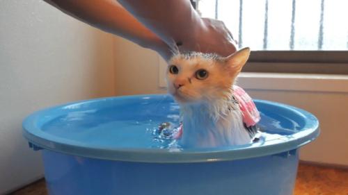 手でかけ湯